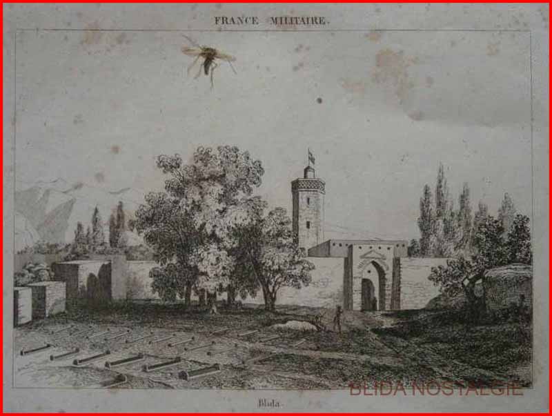 porte alger (2).jpg